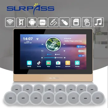 Stene Ojačevalec WiFi Android 8.1 Digital Stereo Hi-fi Zvočne Moči Avdio Zvočniški Komplet Glasba Bluetooth, združljiva Kino Sistem Slike